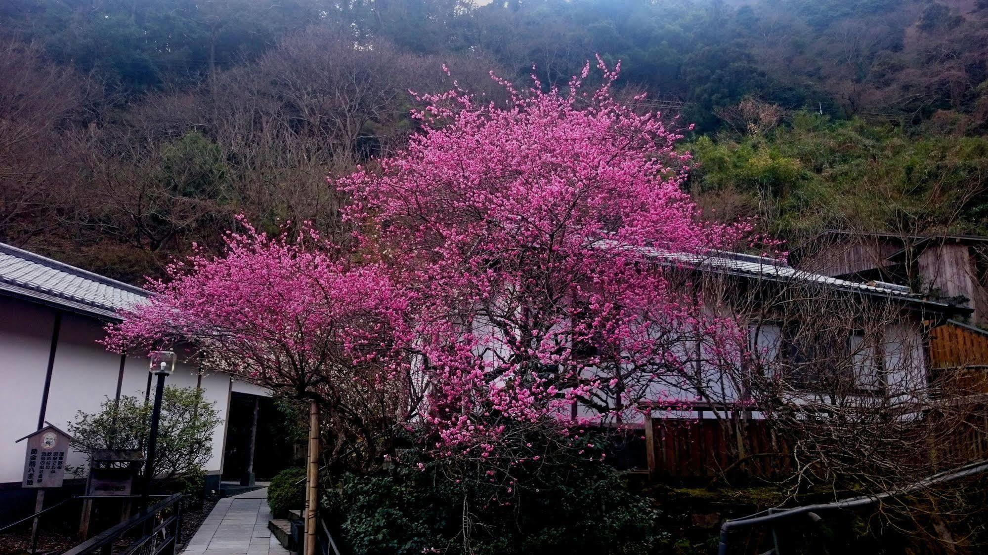 Beppu Showaen Luaran gambar